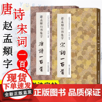 赵孟頫行书集字 唐诗一百首+宋词一百首套装2册 临摹到创作 碑帖古诗词作品集 毛笔书法字帖初学者入门学习临摹教材 浙江人