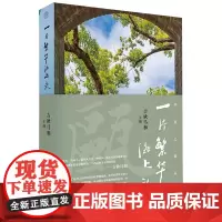 [正版]一片繁华海上头 吉狄马加 广西师范大学出版社 9787559865649