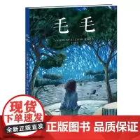 毛毛 米切尔·恩德著作 50周年精装纪念版 原作小说获德国青少年文学奖