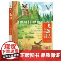 飞禽记——鸟的故事