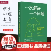 [2025年新书] 一次解决一个问题 基于单次治疗的心理自助 精装本 专业自助思路 实用心理 极简治疗 心理学专业学生华