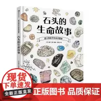 浪花朵朵正版 盛口满的手绘自然图鉴:石头的生命故事 7-10岁 石头地质 日本童书研究会 科普百科绘本