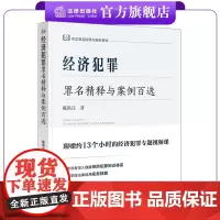经济犯罪罪名精释与案例百选 陈洪兵著 刑法罪名精释与案例百选 围绕刑法分则第五章侵犯财产罪各罪名和各条规定展开 法律