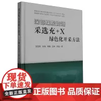 深部煤炭资源采选充+X绿色化开采方法