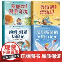 斗半匠 快乐读书吧六年级下册 鲁滨逊漂流记 汤姆索亚历险记 爱丽丝漫游奇境 尼尔斯骑鹅旅行记[4册]