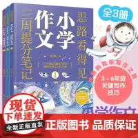 全3册 思路看得见 小学作文三周提分笔记 曾青燕 思维导图六步创意写作法8-12岁小学生三四五六年级作文关键写作技巧语文