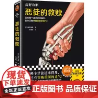 2023豆瓣年度书单]恶徒的救赎 高野和明著 社会派推理力作 消失的13级台阶 江户川乱步奖 日本推理作家协会奖得主 侦