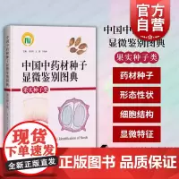 中国中药材种子显微鉴别图典果实种子类 上海科学技术出版社中药鉴定图谱科学技术鉴别中药材种子提高质量种质资源 种子图鉴书