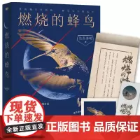 燃烧的蜂鸟 法医秦明新书 法医秦明十周年诚意之作全新复古悬疑系列侦探悬疑推理小说
