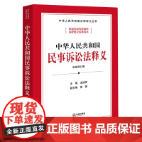 [正版]中华人民共和国民事诉讼法释义 王瑞贺 法律出版社 9787519782924