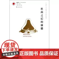 杜尚之后的康德KANTAFTERDUCHAMP (比)蒂埃利?德?迪弗 著 沈语冰//张晓剑//陶铮 译 艺术理论(新)