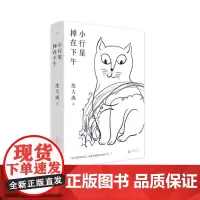小行星掉在下午 (精装)宝珀理想国文学奖决选作者沈大成全新小说集 给沈大成6分钟 她给你一场颅内反乌托邦式冒险