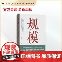 规模--企业创新、生产率和国际竞争