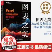 店 图表之美 Excel 经典商业图表制作指南 Excel图表模块功能使用方法 商务图表科研图表设计思路特殊效果制作技巧