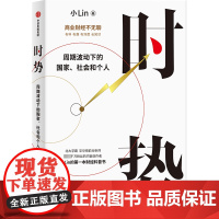 时势 周期波动下的国家、社会和个人 小Lin 著 经济理论经管、励志 正版图书籍 中信出版社