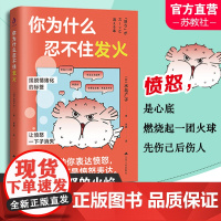 你为什么忍不住发火 风靡日本的情绪管理实用书 送给总爱生气的你 摆脱情绪化的标签 江苏人民出版社