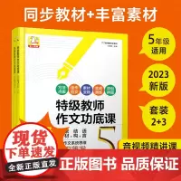 特级教师作文功底课(小学5年级共4册)/丁丁老师教作文系列 思维导图学作文写作 小学生作文写作思路学生佳作范文 名家方法