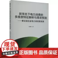 新常态下电力消费的多维度特征解析与需求预测——兼论湖北省电力高质量发展 光峰涛 著 各部门经济经管、励志