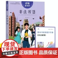 2025春 读思达 非法智慧 张之路著 整本书阅读 六年级 下册 快乐读书吧 6年级