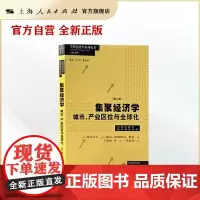 集聚经济学:城市、产业区位与全球化(第二版)