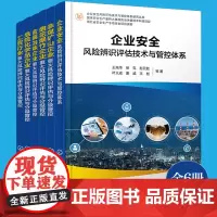 6册 企业安全风险评估技术与管控体系研究丛书 金属冶炼企业烟花爆竹企业工贸行业危险化学品企业 企业安全风险管理人员参考