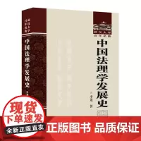 [正版]中国法理学发展史(精)/武汉大学百年名典 李龙 武汉大学出版社 9787307239876