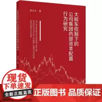 大股东控制下的公司集团内部资本配置行为研究 龚志文 著 管理学理论/MBA经管、励志 正版图书籍 中国财政经济出版社