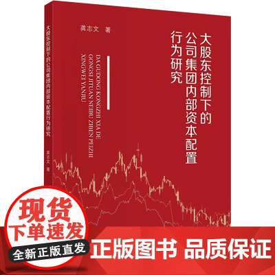 大股东控制下的公司集团内部资本配置行为研究 龚志文 著 管理学理论/MBA经管、励志 正版图书籍 中国财政经济出版社