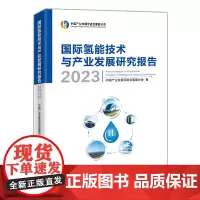 国际氢能技术与产业发展研究报告2023