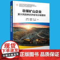 非煤矿山企业重大风险辨识评估与分级管控 企业安全风险评估技术与管控体系研究丛书 非煤矿山企业主要负责人 案例管理人员参考