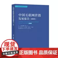 中国互联网营销发展报告.2023