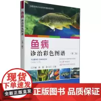 鱼病诊治彩色图谱 第二版第2版 汪开毓主编 常见鱼病诊断诊疗图书 中国农业出版社 9787109312401