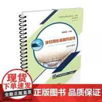 正版 城轨刚性接触网检修 陈健鑫 中国铁道出版社有限公司 9787113305277