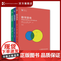 “科学年少”丛书 数学游戏 玩转数字 好玩数学 小初衔接,爱上数学