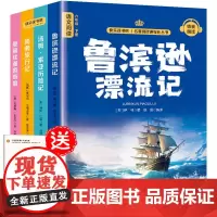 快乐读书吧六年级下册同步语文教材(全4册)鲁滨逊漂流记+汤姆·索亚历险记+骑鹅旅行记+爱丽丝漫游奇境小学教辅课外书目经典