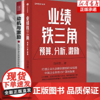 [2册]业绩铁三角+动机与激励业绩铁三角预算分析激励 财务BP丛书 冯月思著 预售 张新民 钱自严 李祖滨 郑毓煌