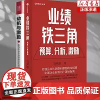 [2册]业绩铁三角+动机与激励业绩铁三角预算分析激励 财务BP丛书 冯月思著 预售 张新民 钱自严 李祖滨 郑毓煌