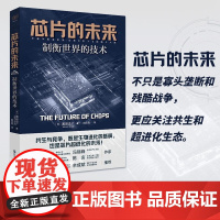 财之道丛书·《芯片的未来:制衡世界的技术》 湛庐