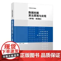数据挖掘算法原理与实现(第3版·微课版)