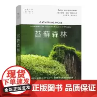 苔藓森林 基默尔 商务印书馆 自然文库 苔藓生态摄影微观陆地生态苔藓故事 博物学自然科普生物学陆生植物学苔藓知识科普书籍