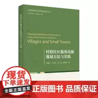 村镇社区服务设施规划方法与实践 宋聚生 北京大学店正版