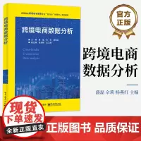 店 跨境电商数据分析 跨境电商与大数据概述 跨境电商数据分析原理等参考书籍 跨境电商大数据工具使用与分析参考书 盛磊