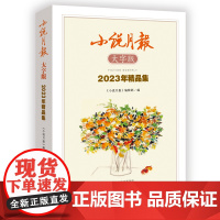 小说月报大字版2023年精品集 莫言石钟山邓一光鲁敏海勒根那许冬林余耕弋铧宋小词等 百花文艺出版社