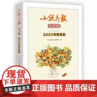 小说月报大字版2023年精品集 莫言石钟山邓一光鲁敏海勒根那许冬林余耕弋铧宋小词等 百花文艺出版社