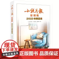 小说月报原创版2023年精品集 盛可以汤成难林希孙睿三三钟二毛郭爽陈九 百花文艺出版社