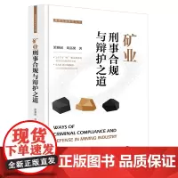 矿业刑事合规与辩护之道 梁雅丽 刘嘉梁著 雅丽刑辩系列丛书 精装 法律出版社