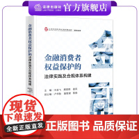 金融消费者权益保护的法律实践及合规体系构建 王岩飞 樊思琪 姜风主编 卢华秋 聂雯珺 陈修副主编 数字金融 合规要点