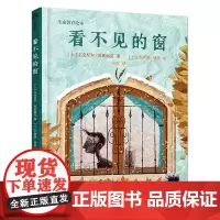 看不见的窗 生命教育绘本 二年级百班千人祖庆说大阅小森正版 小学生课外书阅读书籍 科学普及出版社kq56