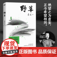 野草 鲁迅杂文集 鲁迅一生的哲学都在 野草 里 多篇文章收入语文课本 特别收录鲁迅经典诗歌散杂文鲁迅书法绘画篆刻设计等磨