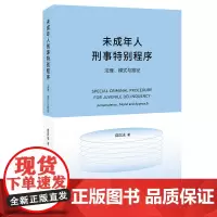 未成年人刑事特别程序 法理、模式与路径 自正法 附条件不起诉 未成年人刑事审判与执行程序研究 法理架构基础 北京大学店正
